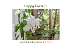J4-10_Happy Easter_カサブランカ