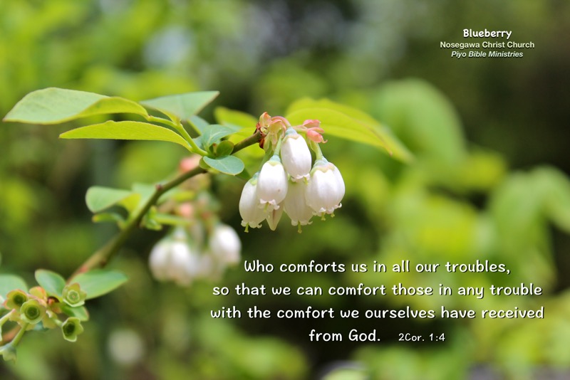 E4-5_2Cor. 1-4_Who comforts us